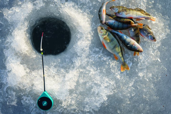 Experience the Thrill of Live Ice Fishing Casino Gaming in the UK
